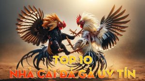 [Bảng Xếp Hạng] Top 10 Nhà Cái Đá Gà Trực Tuyến Uy Tín Nhất